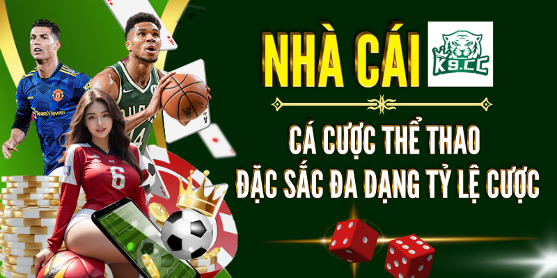 Thể thao Nhiều loại hình cá cược phong phú và thú vị