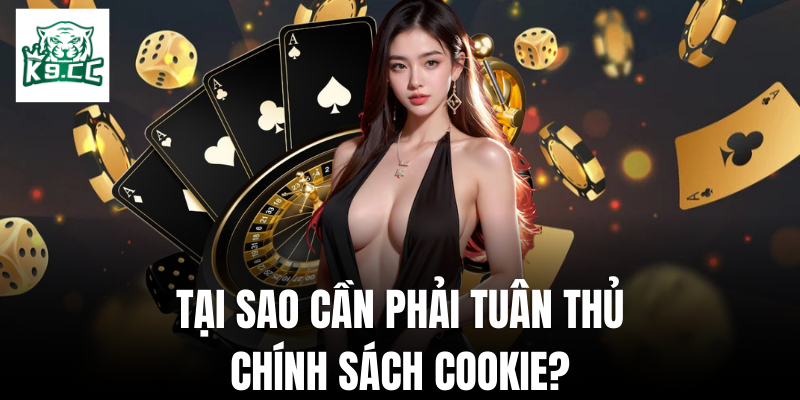 Chính sách cookie Lý do cần phải tuân thủ chính sách cookie là gì?