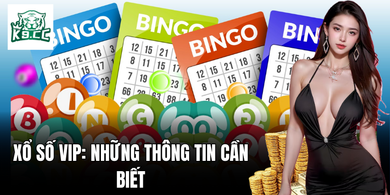Xổ Số VIP - Thử Vận May Với Bí Kíp Từ Chuyên Gia K9CC Xổ số VIP: Thông tin quan trọng