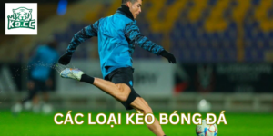 Tổng quan về Các Loại Kèo Bóng Đá