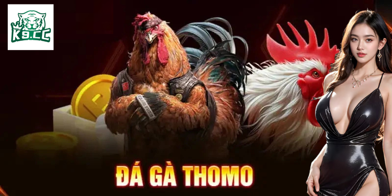 Đá Gà Thomo - Bí Kíp Cá Cược Đỉnh Cao Từ K9CC Cho Kê Thủ Một số điều cần chú ý khi tham gia đá gà