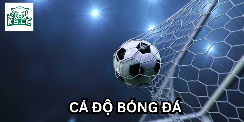 Cá Độ Bóng Đá: Những Điều Cần Lưu Ý Trước Khi Tham Gia Bí quyết soi kèo Cá Độ Bóng Đá