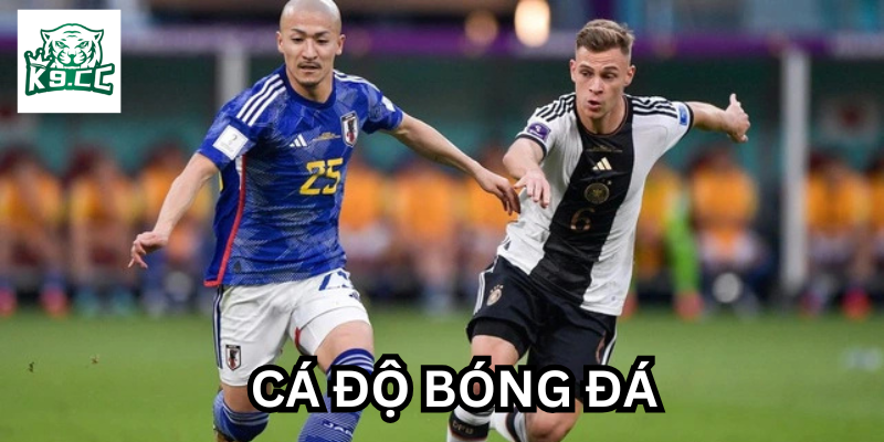 Cá Độ Bóng Đá: Những Điều Cần Lưu Ý Trước Khi Tham Gia Cá Độ Bóng Đá là gì?
