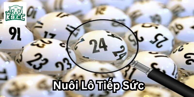 Chiến Lược Nuôi Lô Tiếp Sức - Bí Kíp Chinh Phục Thành Công! Nuôi Lô Tiếp Sức là gì?