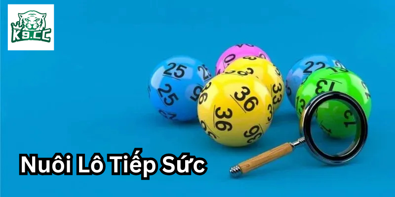 Chiến Lược Nuôi Lô Tiếp Sức - Bí Kíp Chinh Phục Thành Công! Ưu Nhược điểm của Nuôi Lô Tiếp Sức