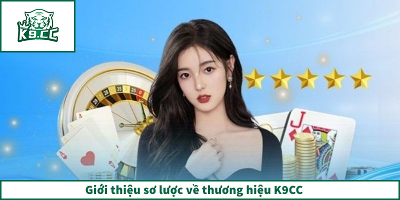 K9CC - Link Truy Cập K9CC.COM Chính Thức Tại Việt Nam 2026 Giới thiệu sơ lược về thương hiệu K9CC